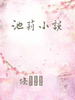 池莉小说