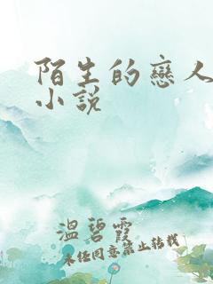 陌生的恋人原著小说