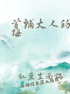 首辅大人的小青梅