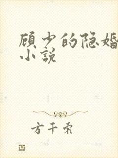 顾少的隐婚罪妻小说