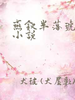 燕钗半落琥珀糖小说