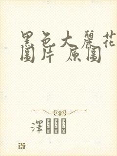 黑色大丽花真实图片 原图