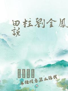 田柱刘金凤的小说