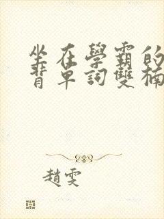 坐在学霸的棍子背单词双楠