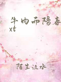 牛肉面阳春面txt