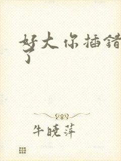 好大你插错地方了