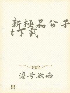 新极品公子txt下载