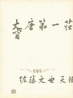 大唐第一庄无弹窗