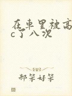 在车里被高潮被c了八次