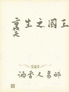 重生之国王的微笑