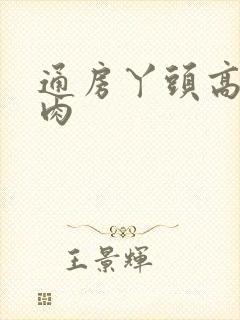 通房丫头高h纯肉