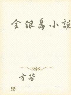 金银岛小说
