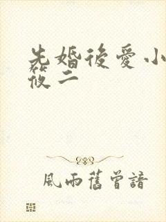 先婚后爱小说梦筱二