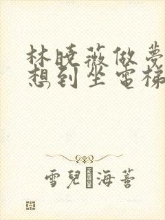 林晓薇做梦也没想到坐电梯到小区物业