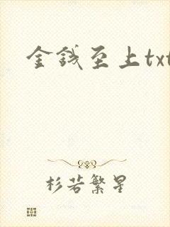 金钱至上txt