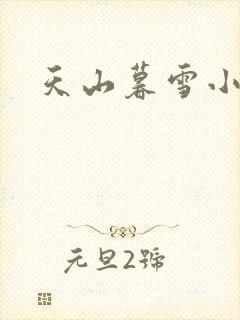 天山暮雪小说