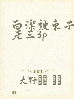 白洁被东子老二老三3p