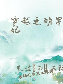 穿越之明星太子妃