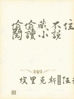 偷偷藏不住免费阅读小说