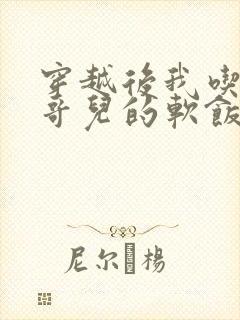 穿越后我吃到了哥儿的软饭炉山灰