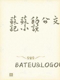 苏苏的公交车日记小说