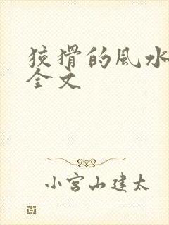 狡猾的风水相师全文