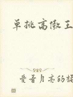 单挑高傲王子