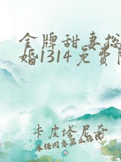 金牌甜妻总裁宠婚1314免费阅读