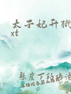 太子妃升职记txt