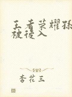 王者荣耀孙尚香被后入