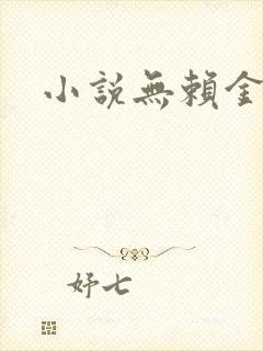 小说无赖金仙