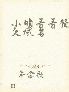 小明看看发布永久域名