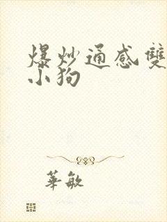 爆炒通感双胞胎小狗