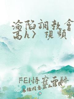 沦陷调教会所〈高h〉视频