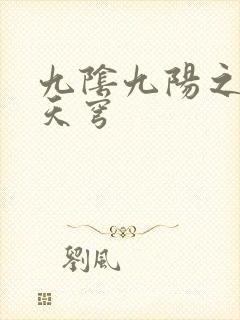 九阴九阳之武战天穹