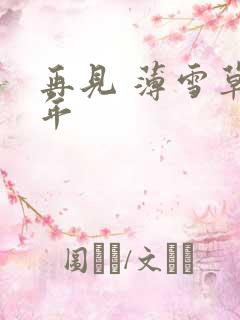 再见 薄雪草少年