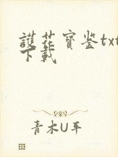 护花宝鉴txt下载