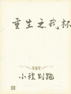 重生之我杯具了