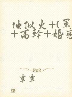 他似火+(军婚+高干+婚恋)