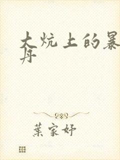 大炕上的暴伦小丹