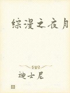 综漫之夜月