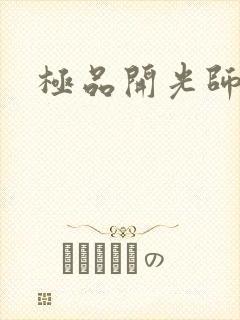 极品开光师阅读