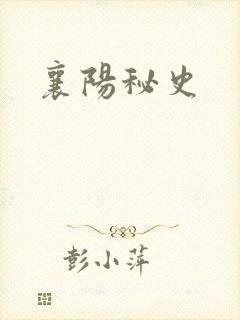 襄阳秘史