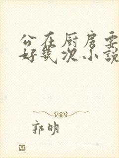 公在厨房要了我好几次小说