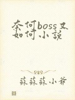 奈何boss又如何小说