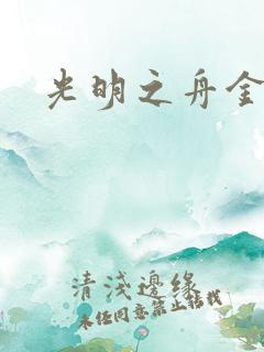 光明之舟金手指