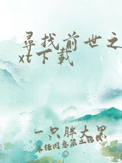 寻找前世之旅txt下载