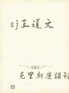 sj王道文