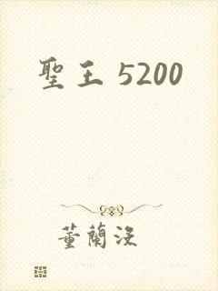 圣王 5200