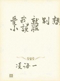 爱我就别想太多小说版